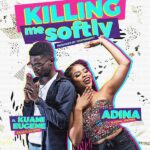 Adina-Killing-Me-Softly-Artwork