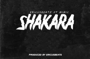Ericusbeatz — Shakara ft. Mimic (Prod. by Ericusbeatz)