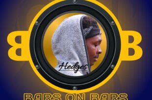 Hedges — Bars On Bars (Mixed by Startik)