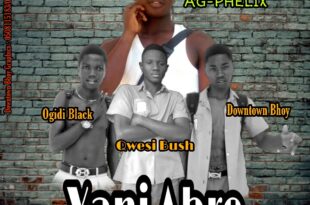 AG-Phelix x Qwesi Bush x Ogidi Black x Downtown Bhoy – Yani Abre (Mixed by Lhil Beatz)