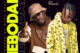 Bra Alex – Mebodam Remix Ft Tulenkey (Prod. by Gigz Beatz)Bra Alex – Mebodam Remix Ft Tulenkey (Prod. by Gigz Beatz)