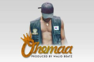 Kwaku Gizo – Ohemaa (Prod. by Walid Beatz)