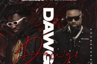 Amerado – Dawgi Ft Sarkodie (Prod. By Unas Beatz)