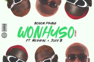 Bosom P-Yung – Wonhuso Remix Ft Medikal & Joey B