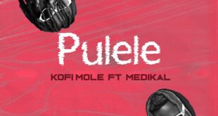 Kofi Mole – Pulele Ft Medikal (Prod. by BPM Boss)