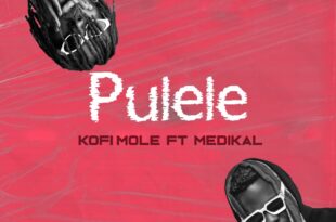 Kofi Mole – Pulele Ft Medikal (Prod. by BPM Boss)