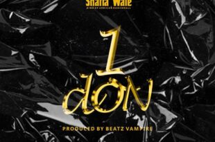 Shatta Wale – 1 Don (Prod. by Beatz Vampire)