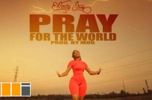 Wendy Shay - Pray For The World (Official Video)