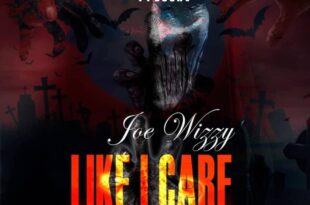 Joe Wizzy – Like I Care (Yaa Pono & Musiga Diss) (Prod. by Ogee Beats)