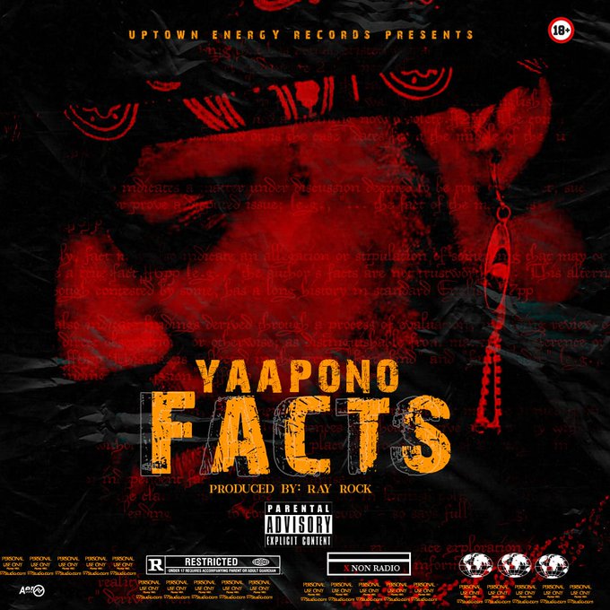 Yaa Pono – Facts (Shatta Wale, Sarkodie Diss) (Prod By Ray Rock)