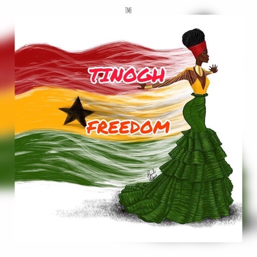 TinoGh - Freedom (FixTheCountry) (Prod. by TinoGh)