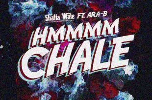 Shatta Wale - Hmmm Chale ft Ara-B (Prod by Chensee Beatz)