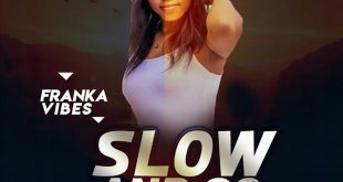 Franka Vibes - Slow And Go