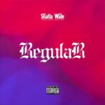 Shatta-Wale-Regular