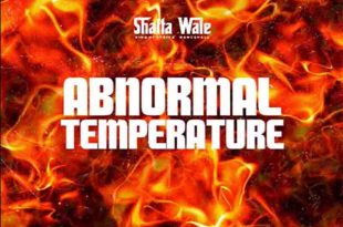 Shatta Wale - Abnormal Temperature