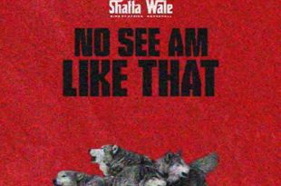 Shatta Wale - No See Am Like That
