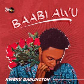 Kweku-Darlington-Baabi-Awu