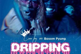 Cocotrey - Dripping Ft Bosom P-Yung