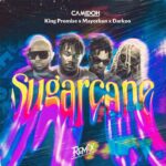 Camidoh-Sugarcane-Remix-ft.-King-Promise-x-Mayorkun-x-Darkoo