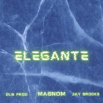 Magnom-Elegante-ft.-DLN-Prod-x-Jay-Brooks