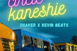 Shaker - Circle Kaneshie ft Kevin Beats (Prod by Nigo)
