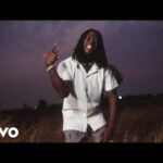 Stonebwoy-–-Therapy-Official-Video