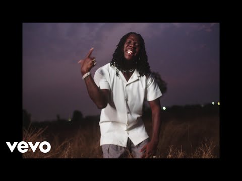 Stonebwoy-–-Therapy-Official-Video