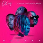 CKay-Watawi-ft.-Davido-x-Focalistic-x-Abidoza