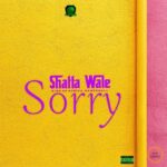 Shatta-Wale-Sorry