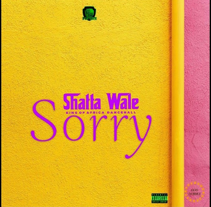 Shatta-Wale-Sorry