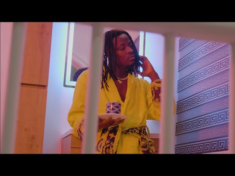 Fancy-Gadam-Ungrateful-Official-Video