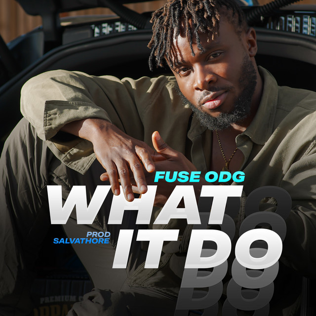 Fuse-ODG-What-It-Do