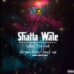 Shatta-Wale-What-The-Fuck-Do-You-Know-Bout-Me