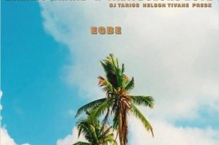 Dammy Krane – Egbe ft. Yaba Buluku Boyz, DJ Tarico, Preck & Nelson Tivane