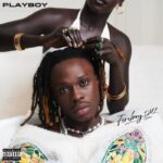 Fireboy-DML-Playboy-Album