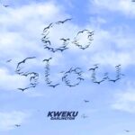 Kweku-Darlington-Go-Slow