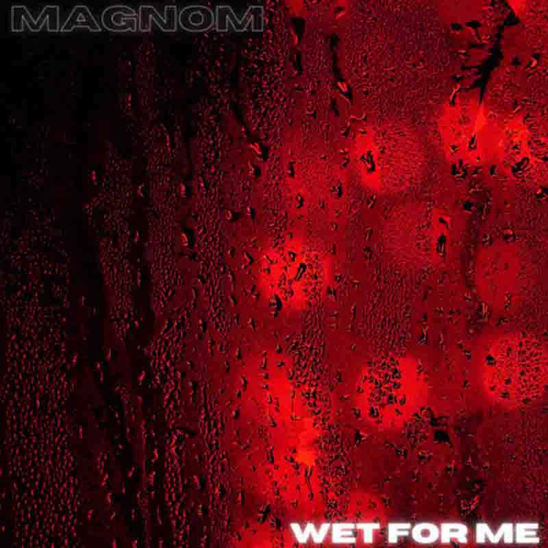 Magnom - Wet For Me (Prod By Magnom)