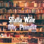 Shatta-Wale-Mr-Pundit