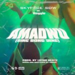 Skyface-SDW-Amadwo-Ding-Dong-Ding-ft.-Reggie