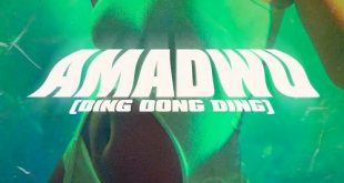 Skyface SDW – Amadwo (Ding Dong Ding) Ft. Reggie (Prod by Lotus Beatz)