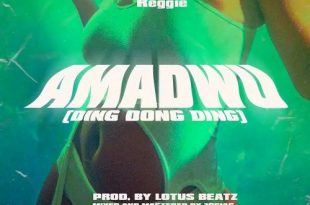 Skyface SDW – Amadwo (Ding Dong Ding) Ft. Reggie (Prod by Lotus Beatz)