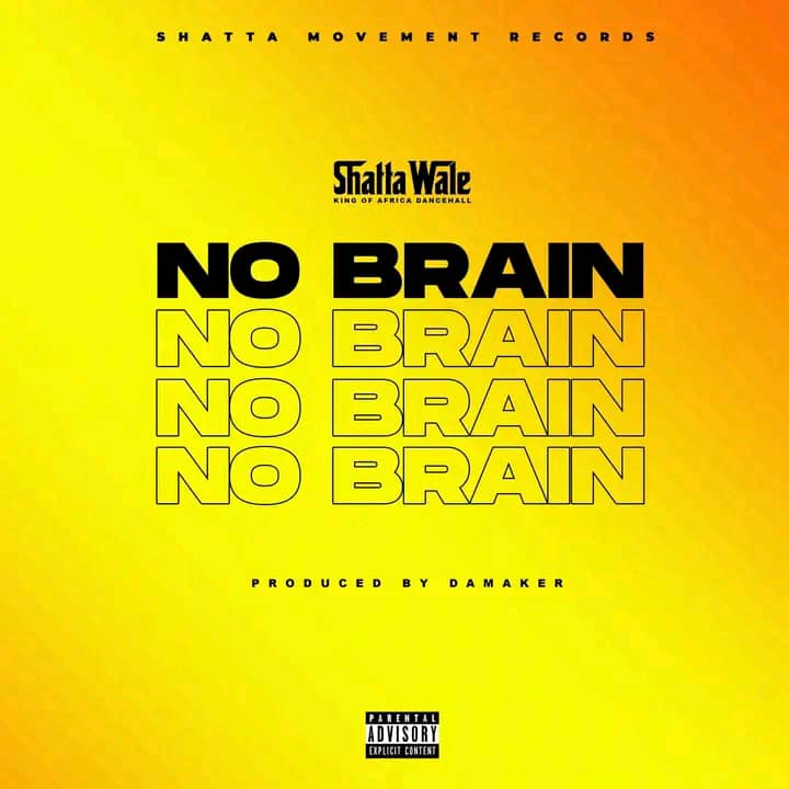 Shatta Wale – No Brain (Prod by Damaker)