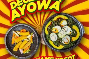 Kwame Yogot - December Ayowa (Prod by Dr Ray Beats)
