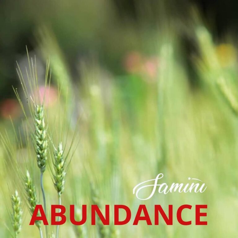 Samini-Abundance