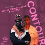 Waliy-AbouNamarr-x-Joeboy-Contour