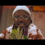 Samini-Abundance-Official-Video