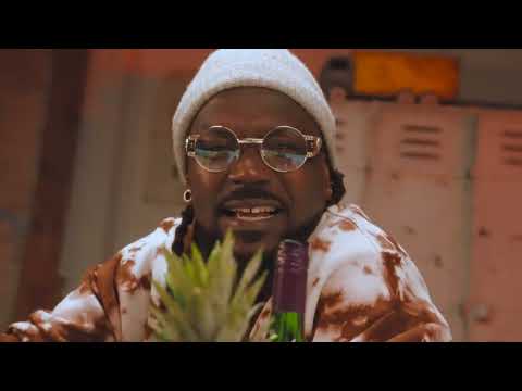 Samini-Abundance-Official-Video