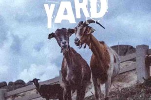 Yaa Pono - Yard (Prod by Fox Beatz)