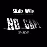 Shatta-Wale-No-Cap-Hitzmakers.com_