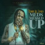 Tommy-Lee-Sparta-Meds-Messed-Up-Hitzmakers.com_